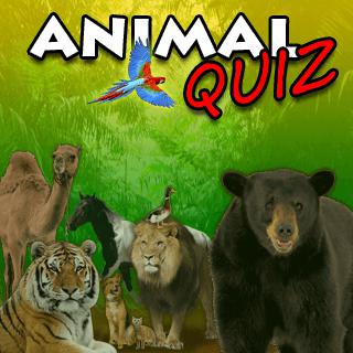 Animal Quiz